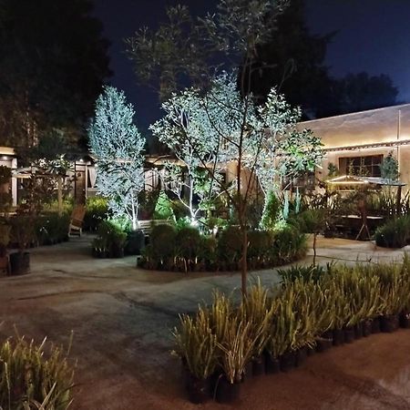 Utopia Hotel Boutique Μεξικό Εξωτερικό φωτογραφία