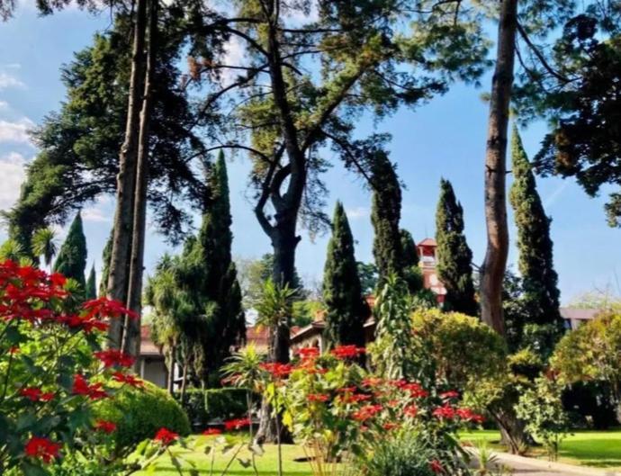 Utopia Hotel Boutique Μεξικό Εξωτερικό φωτογραφία