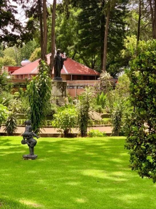 Utopia Hotel Boutique Μεξικό Εξωτερικό φωτογραφία