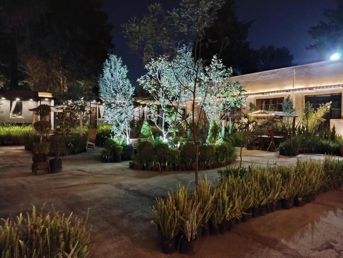 Utopia Hotel Boutique Μεξικό Εξωτερικό φωτογραφία